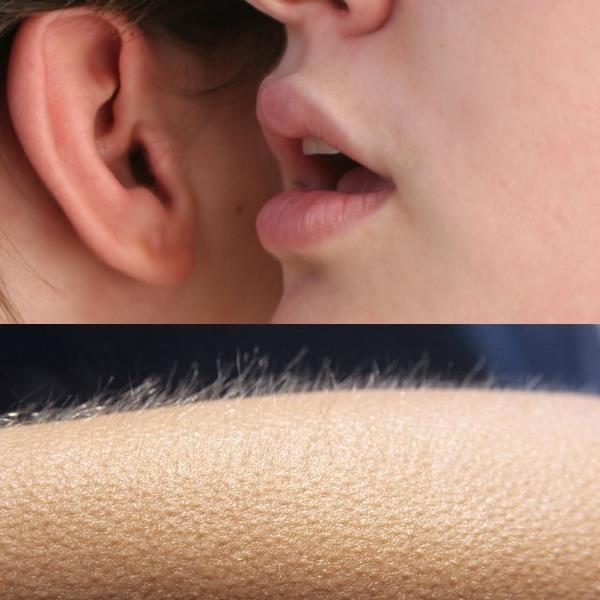 Whisper in Ear Goosebumps meme template showing someone whispering and resulting goosebumps reaction